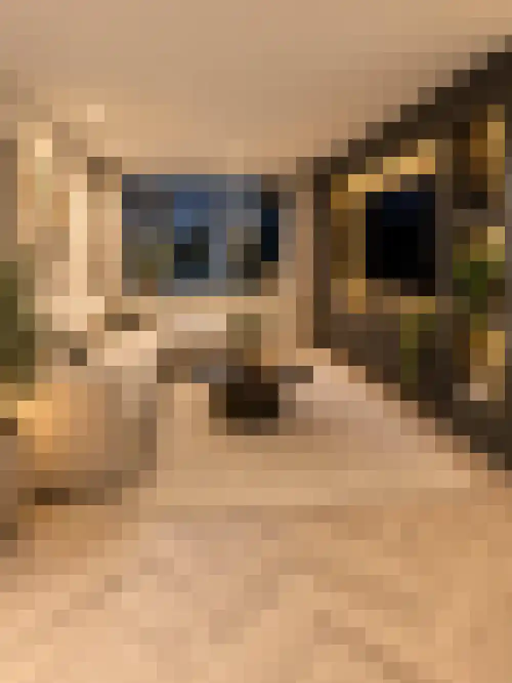 Molenstraat 27 Tilburg thumbnail 7
