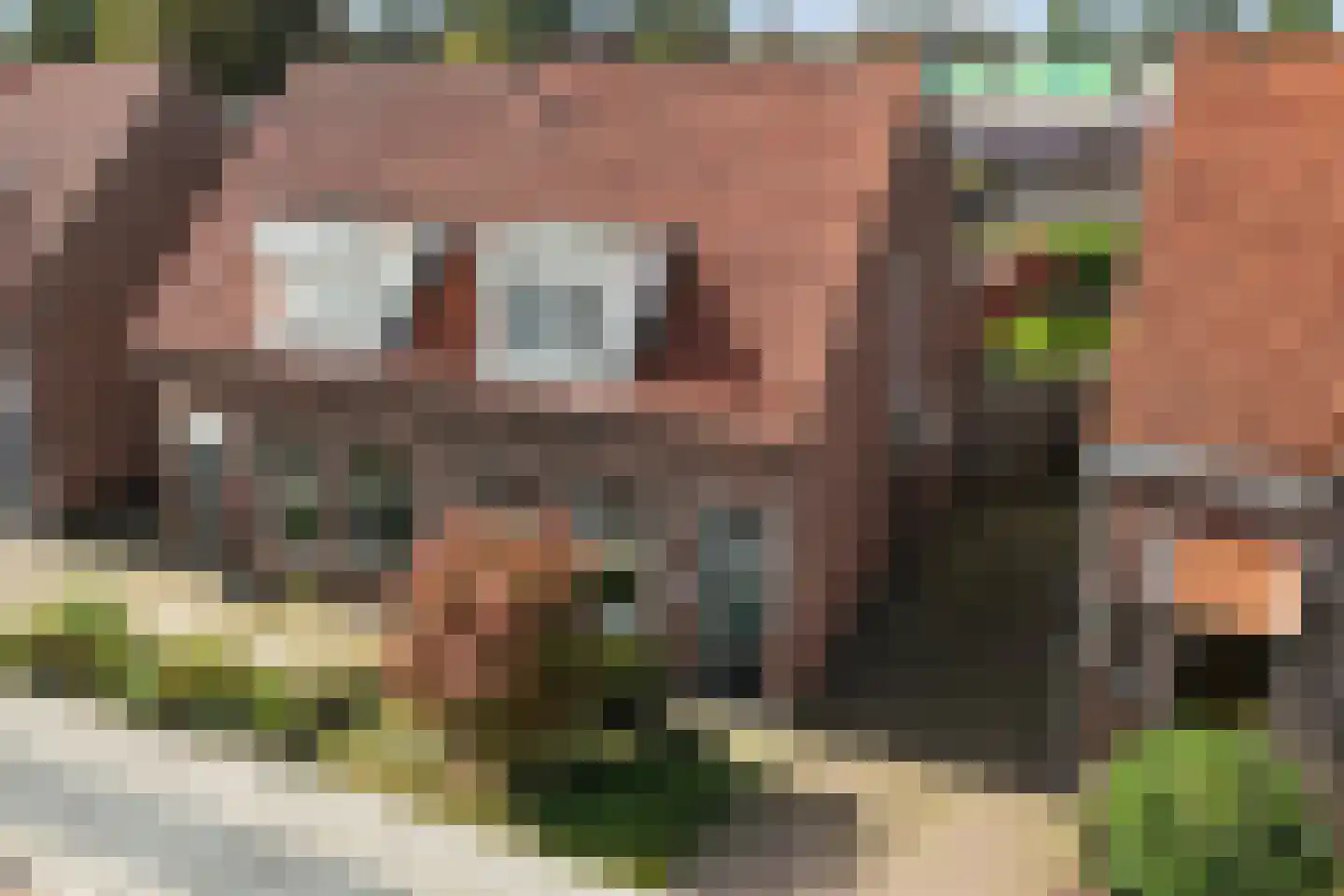 Molenstraat 28 Vriezenveen thumbnail 29