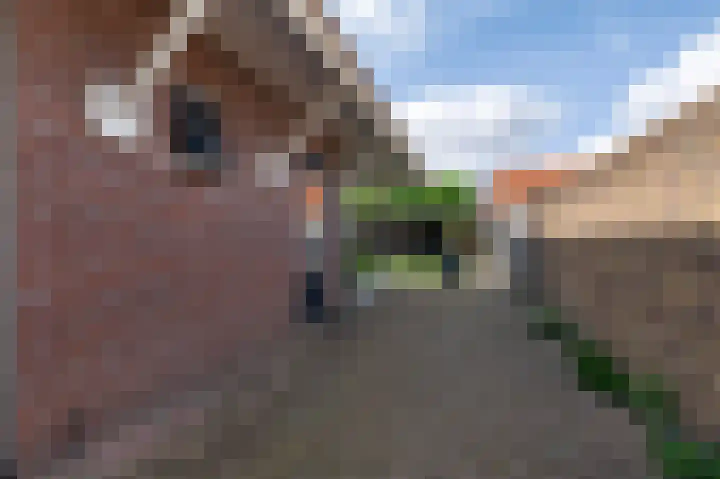Molenstraat 28 Vriezenveen thumbnail 5