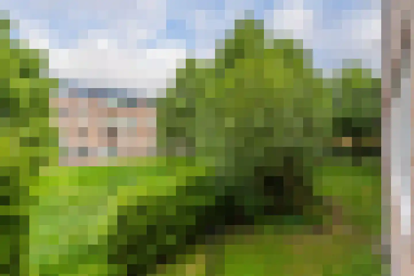 Molenstraat 280 Assen thumbnail 20