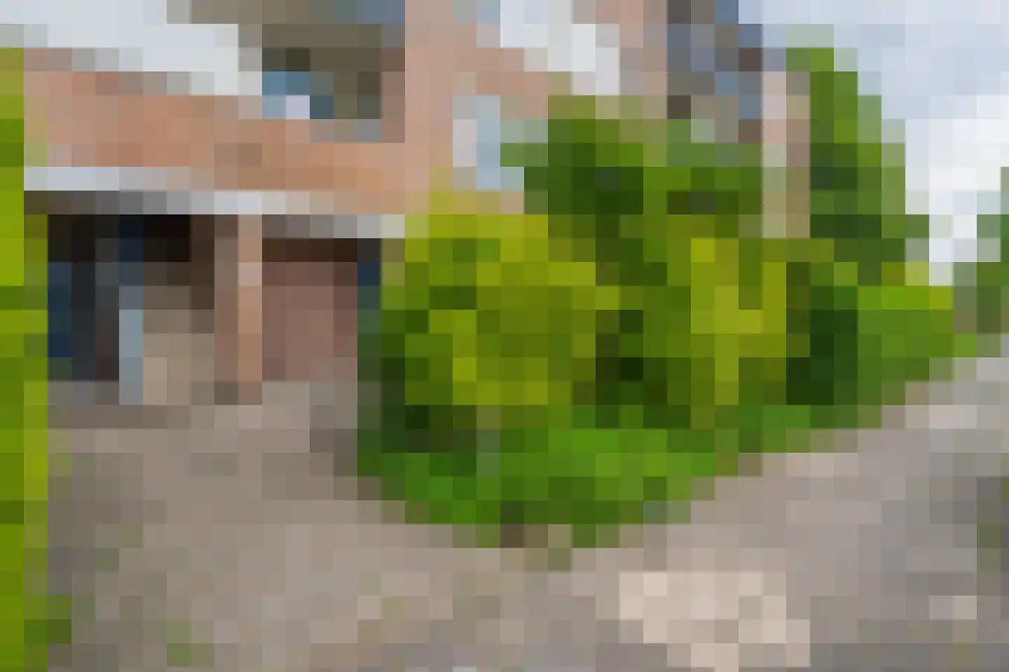 Molenstraat 280 Assen thumbnail 9