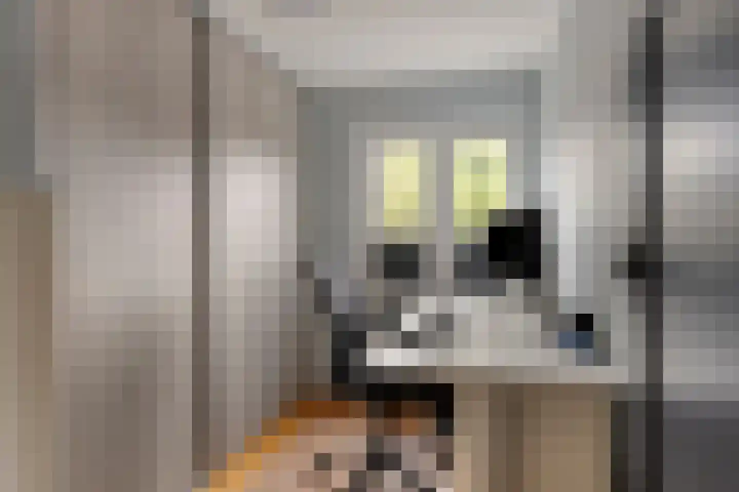 Molenstraat 29 Meijel thumbnail 31