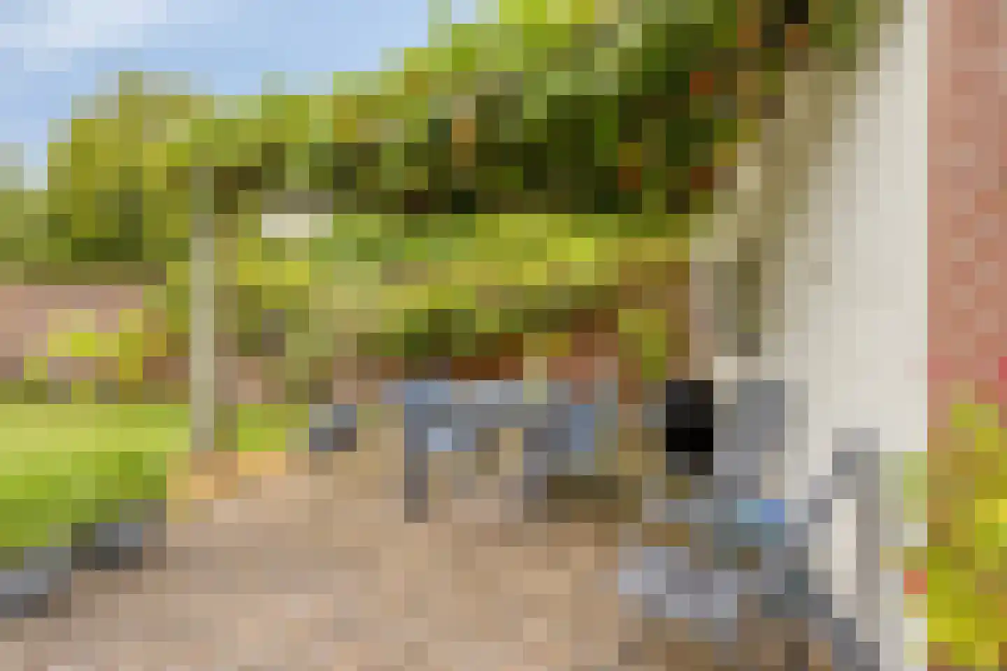 Molenstraat 29 Meijel thumbnail 32