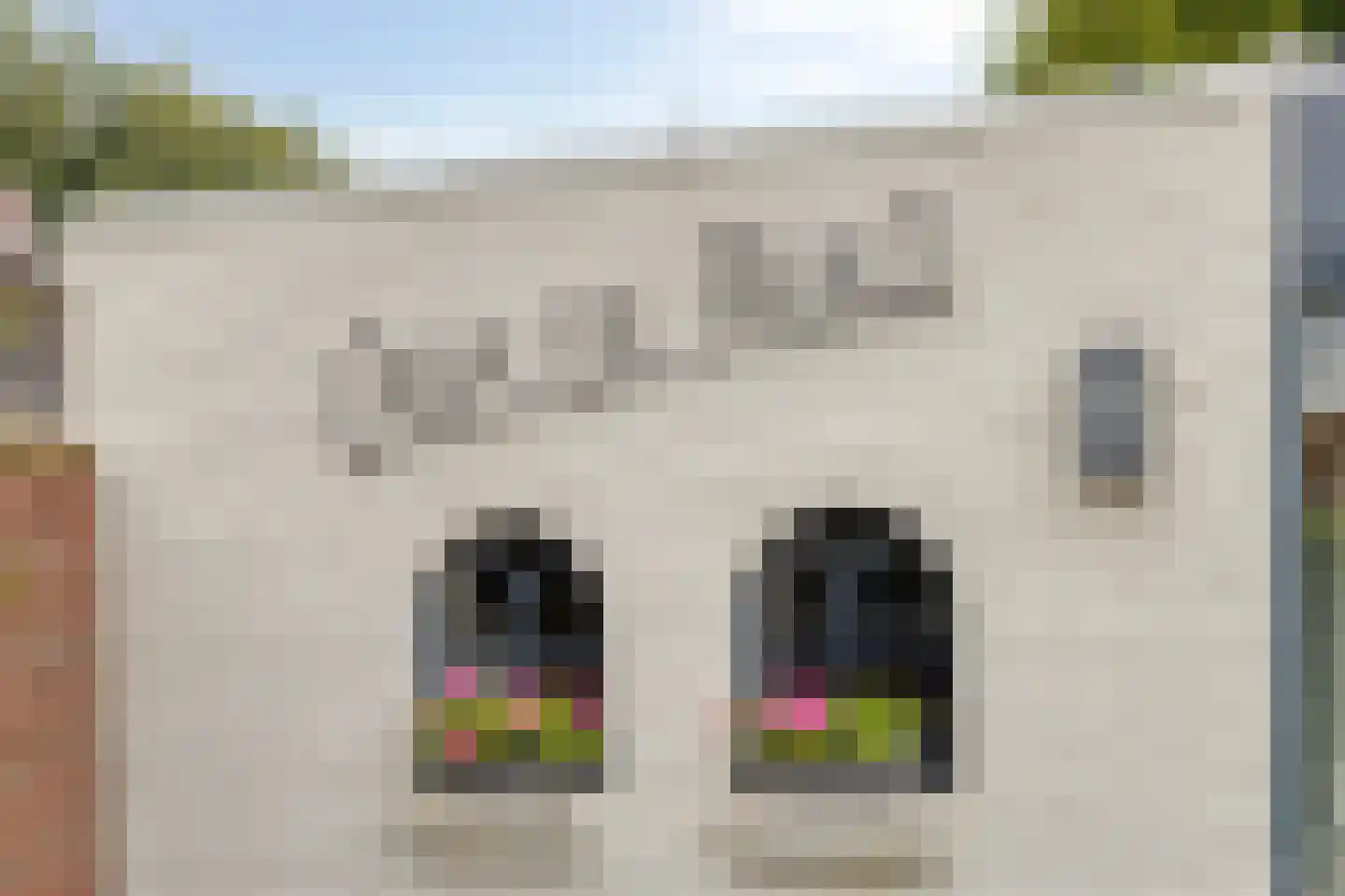 Molenstraat 29 Meijel thumbnail 36