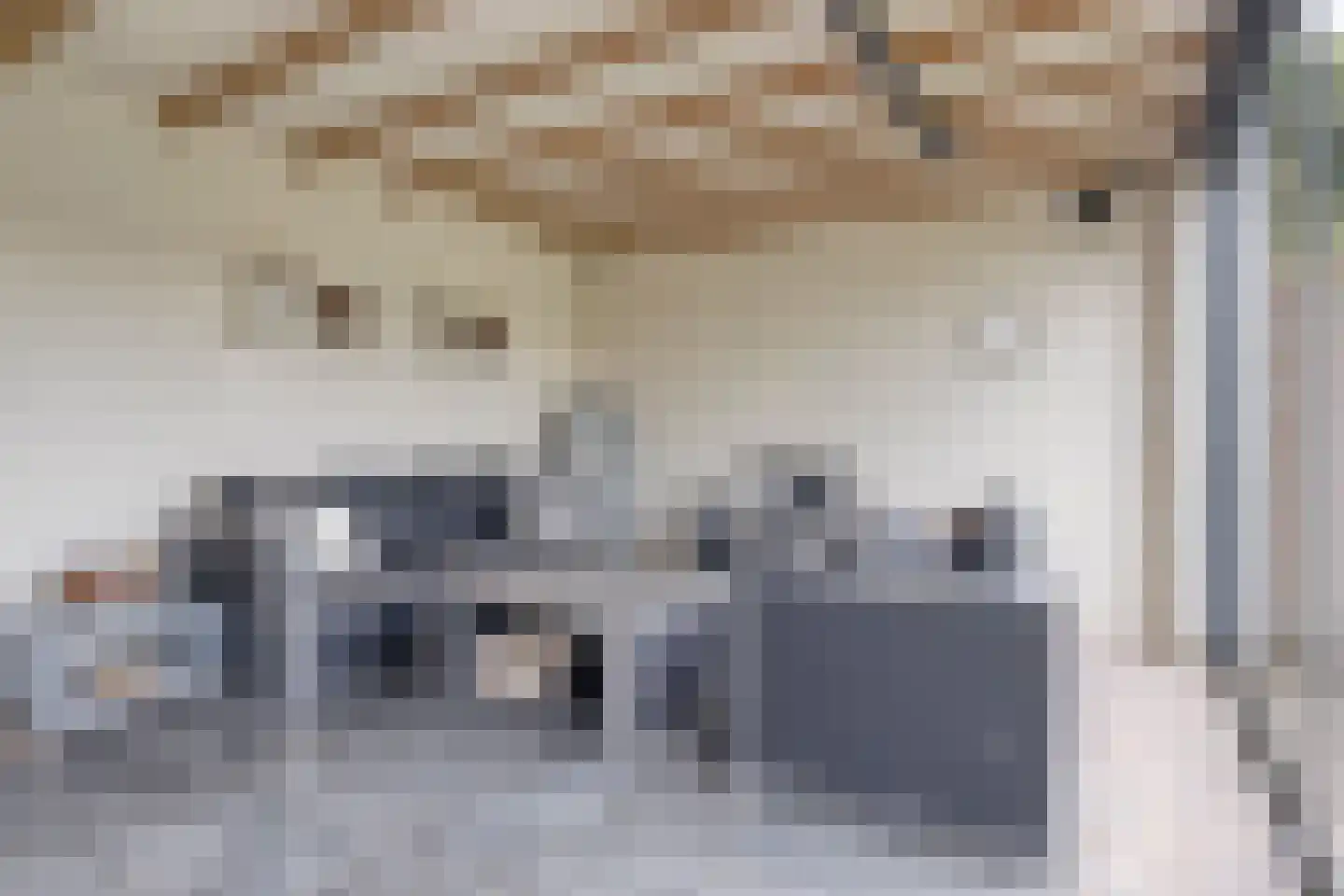 Molenstraat 29 Meijel thumbnail 38