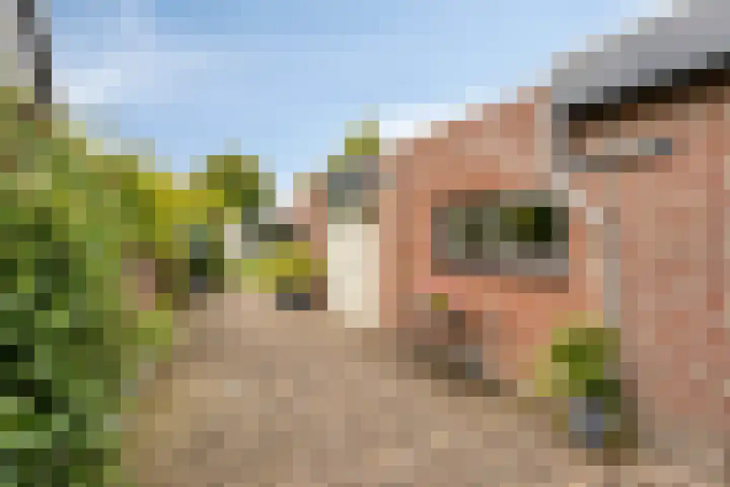 Molenstraat 29 Meijel thumbnail 41