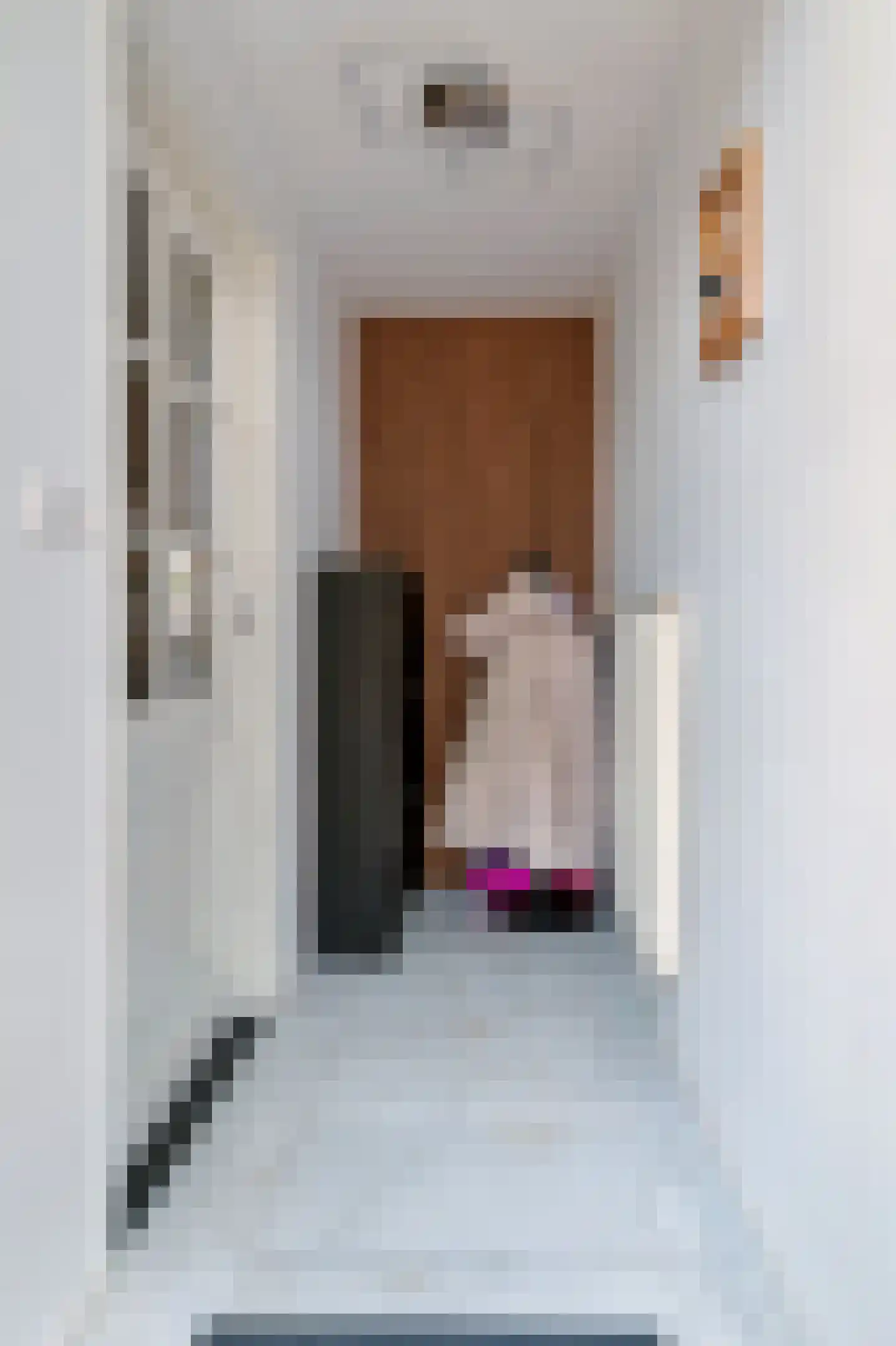 Molenstraat 29 Ossendrecht thumbnail 4