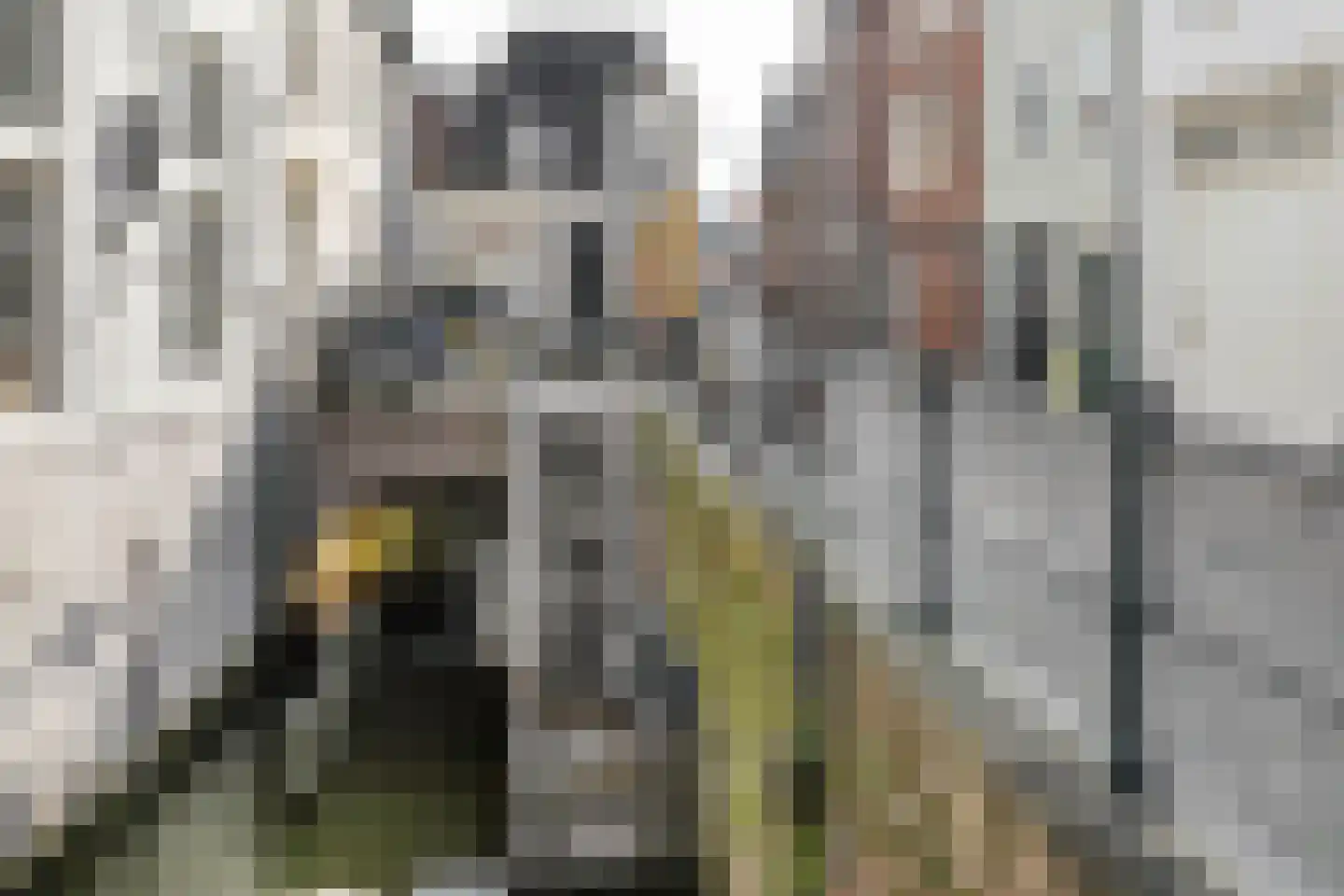 Molenstraat 29 's-Hertogenbosch thumbnail 39