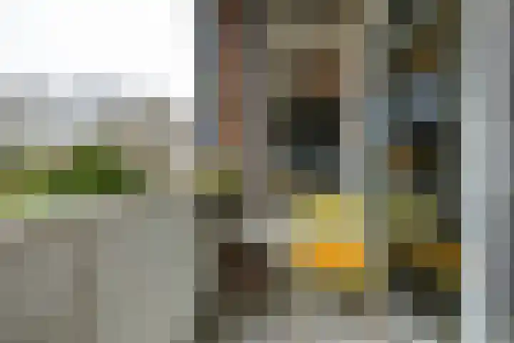 Molenstraat 294 Assen thumbnail 19