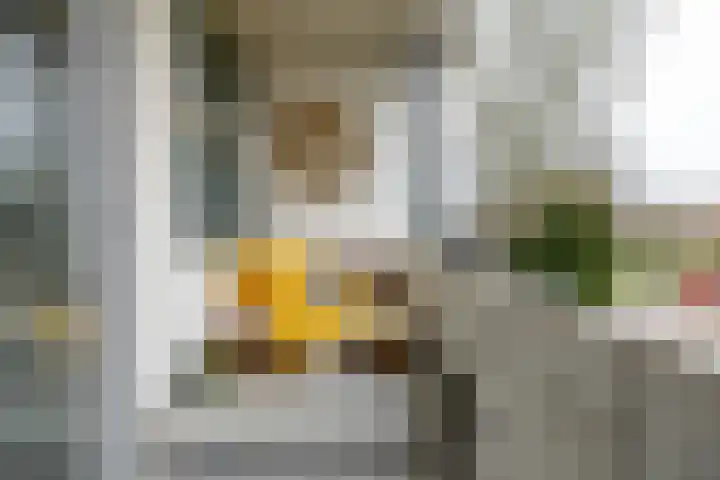 Molenstraat 294 Assen thumbnail 20