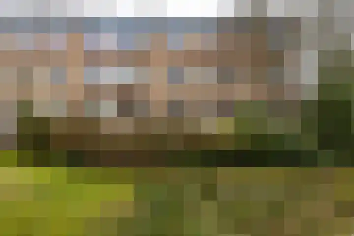 Molenstraat 294 Assen thumbnail 25