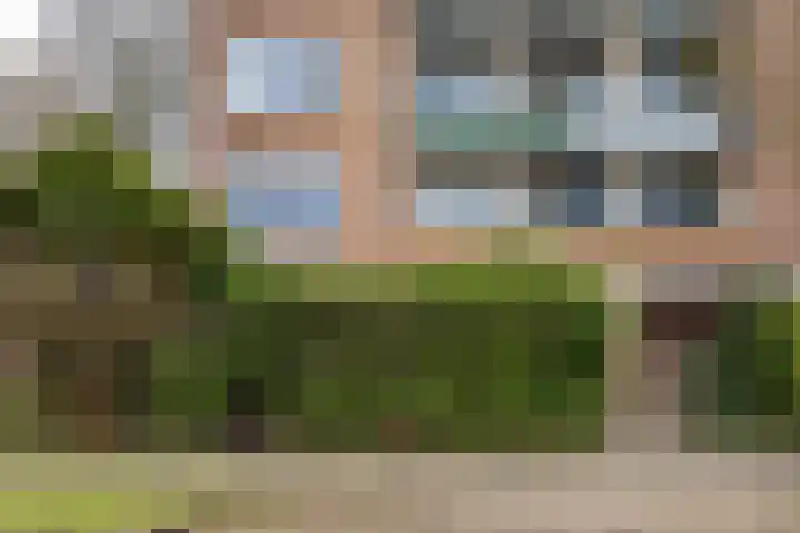 Molenstraat 294 Assen thumbnail 7