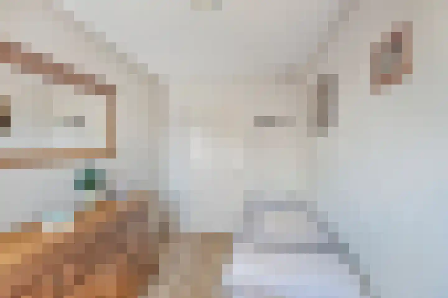 Molenstraat 3 D Den Helder thumbnail 15