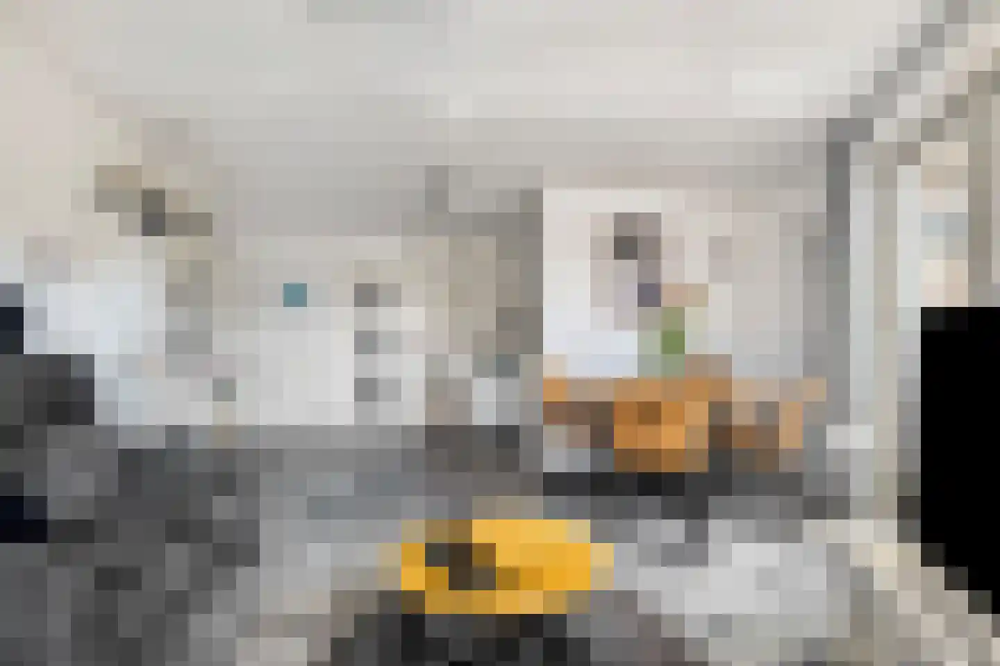 Molenstraat 3 D Den Helder thumbnail 8