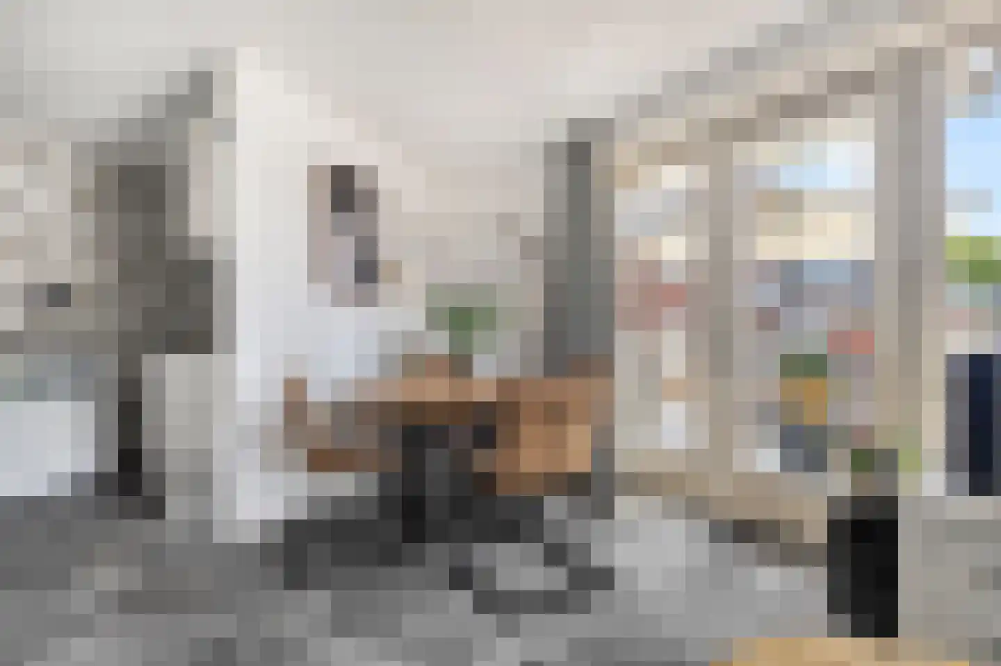 Molenstraat 3 D Den Helder thumbnail 9