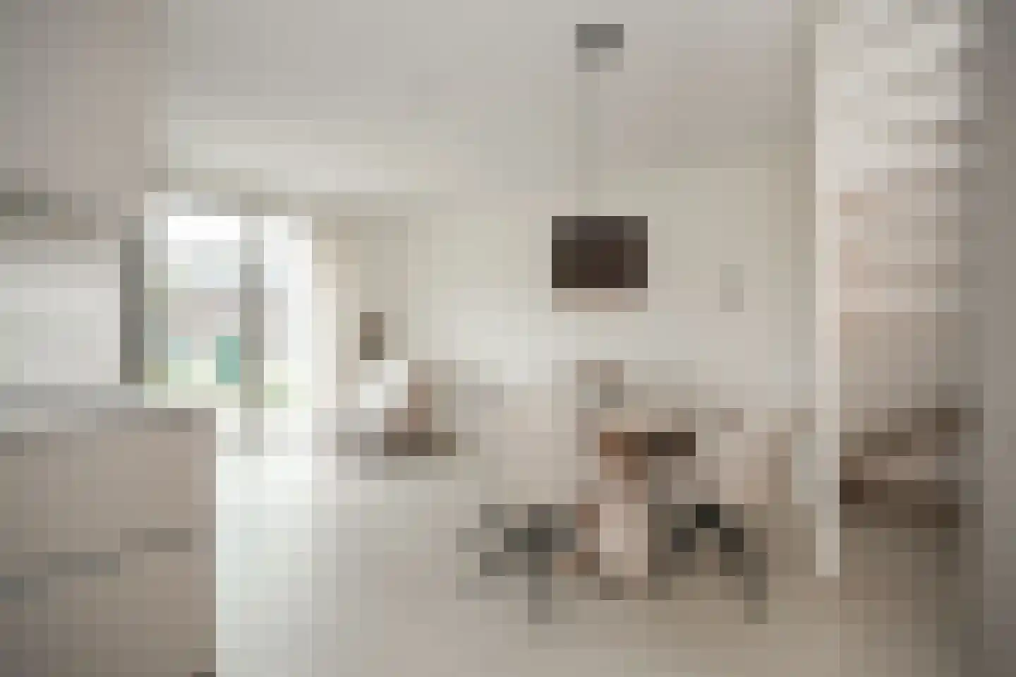 Molenstraat 3 f Boven-Leeuwen thumbnail 10