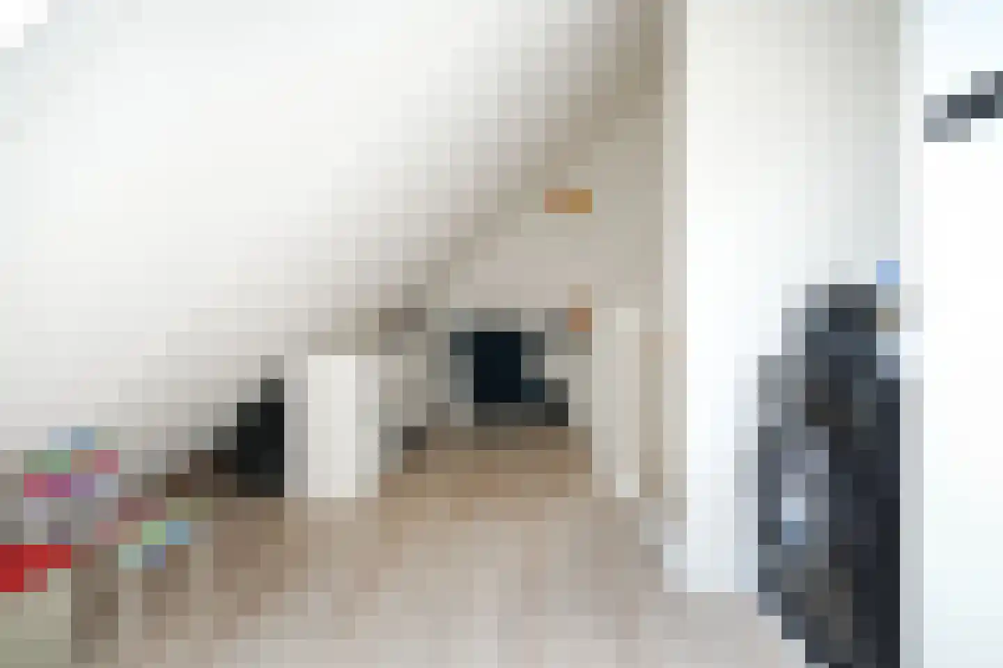 Molenstraat 3 f Boven-Leeuwen thumbnail 20