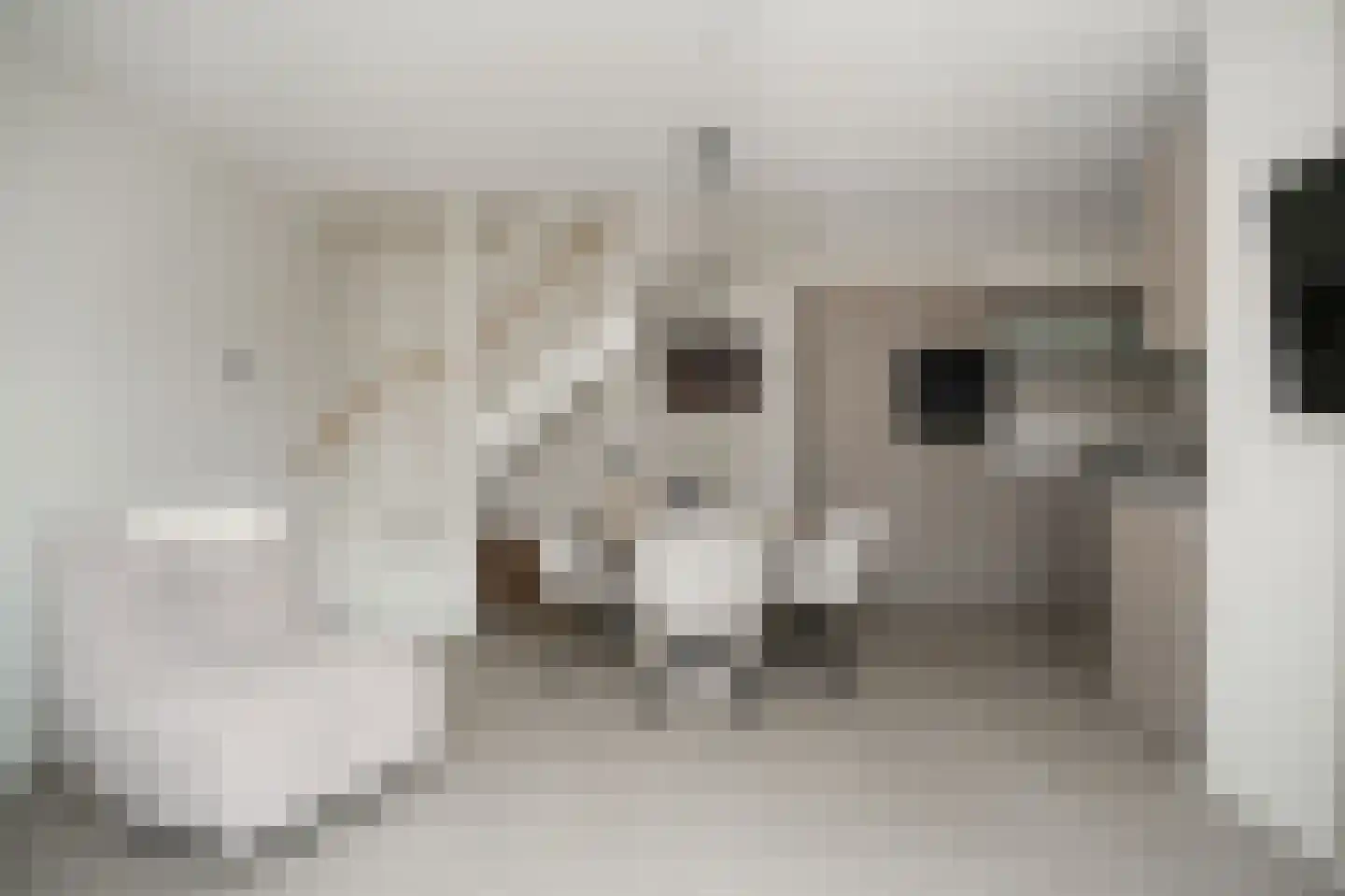 Molenstraat 3 f Boven-Leeuwen thumbnail 6