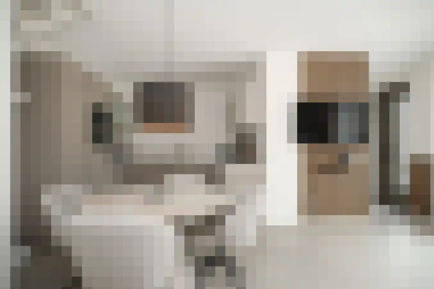 Molenstraat 3 f Boven-Leeuwen thumbnail 7