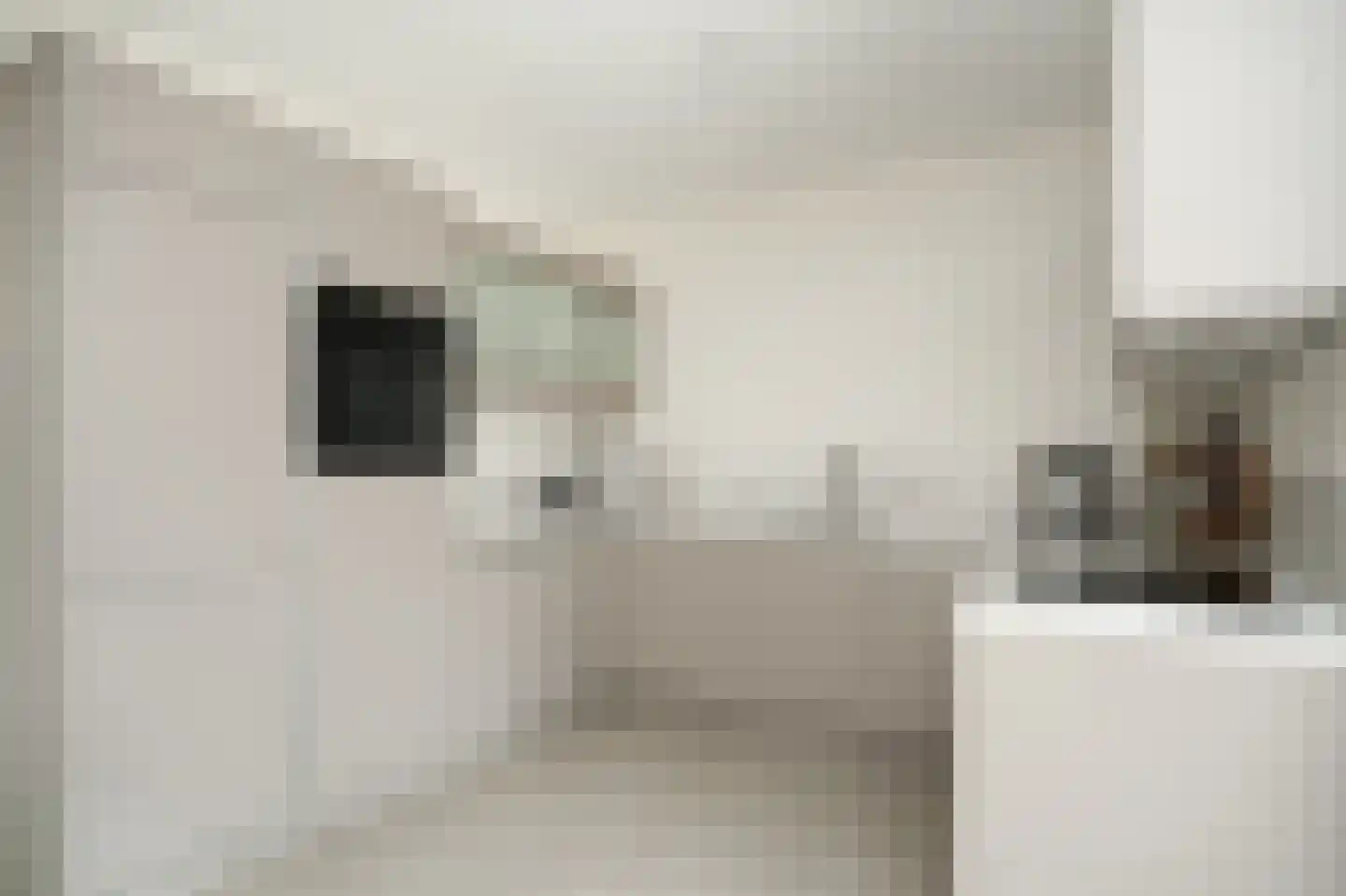 Molenstraat 3 f Boven-Leeuwen thumbnail 8