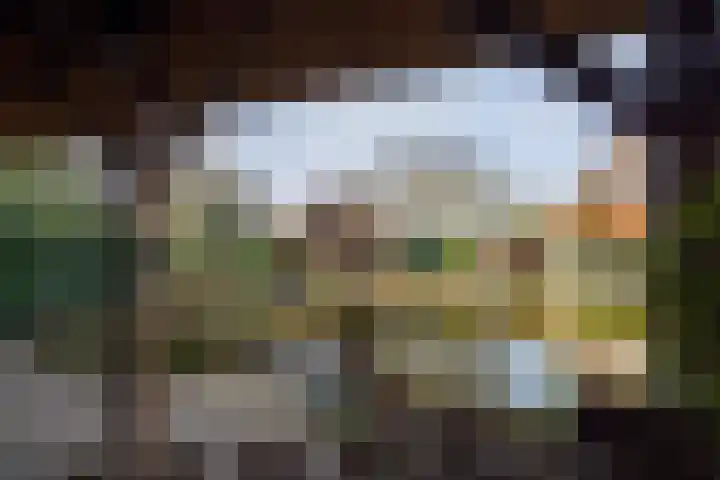 Molenstraat 3 Maurik thumbnail 14