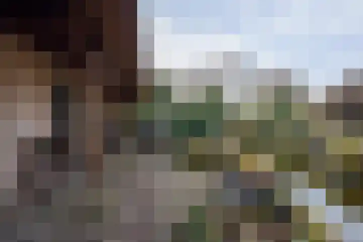 Molenstraat 3 Maurik thumbnail 15