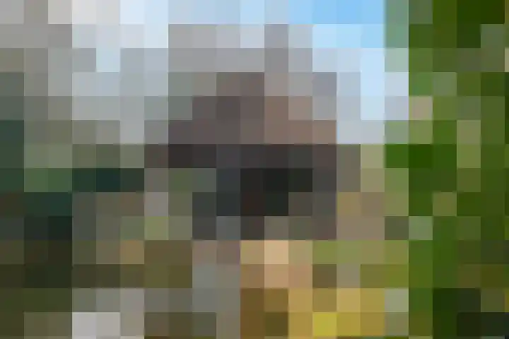 Molenstraat 3 Maurik thumbnail 24