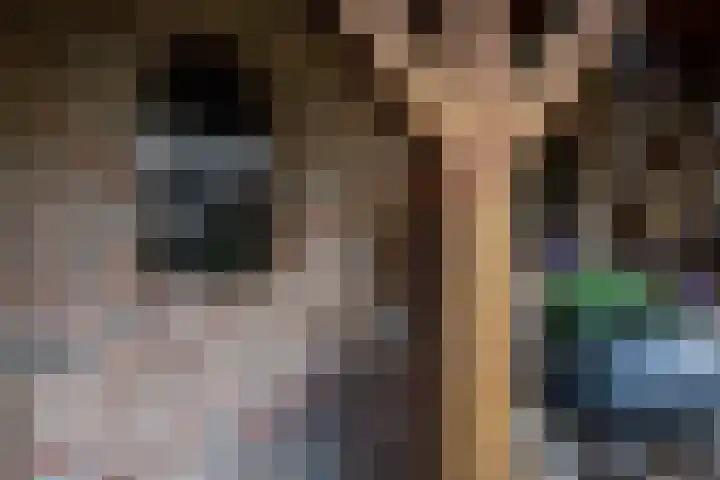 Molenstraat 3 Maurik thumbnail 30