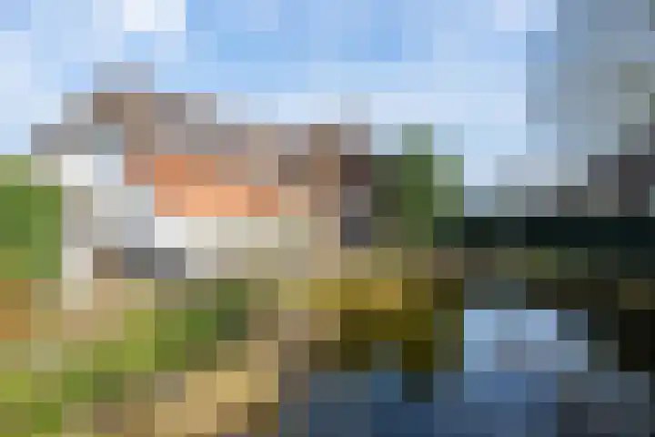 Molenstraat 3 Maurik thumbnail 35