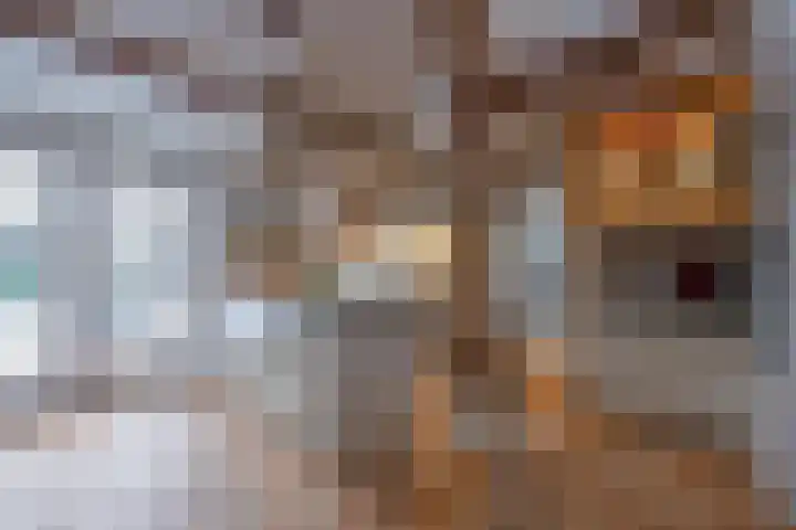 Molenstraat 3 Maurik thumbnail 62