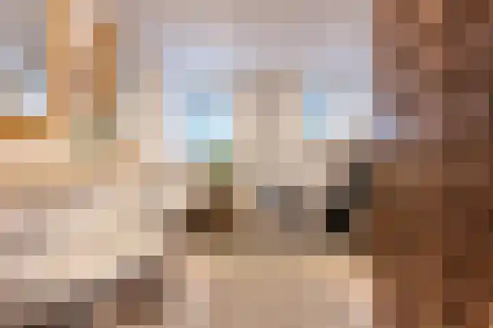 Molenstraat 3 Maurik thumbnail 73