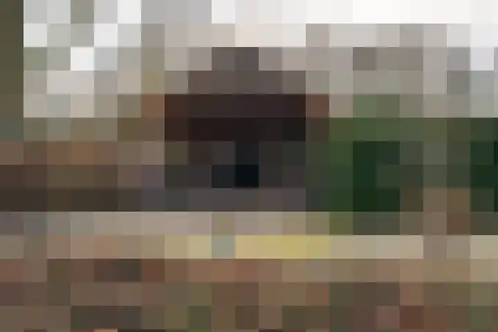 Molenstraat 3 Maurik thumbnail 8