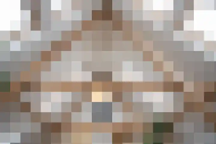 Molenstraat 3 Maurik thumbnail 81