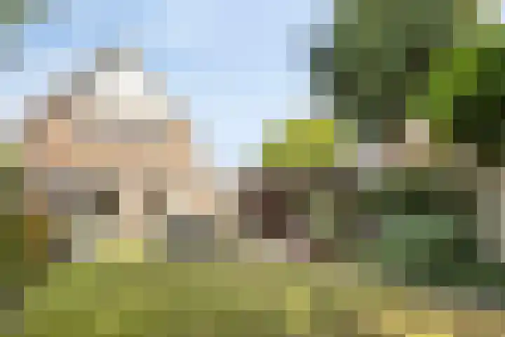 Molenstraat 3 Oosterhout thumbnail 32