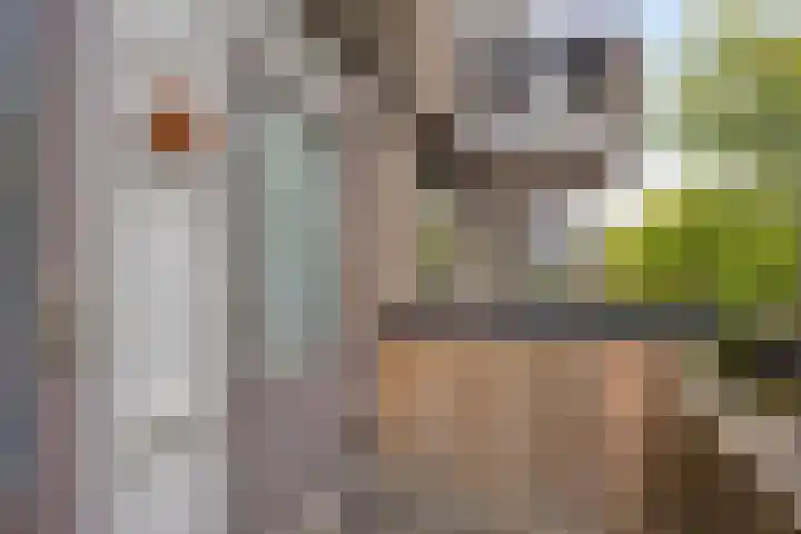 Molenstraat 3 Veghel thumbnail 17