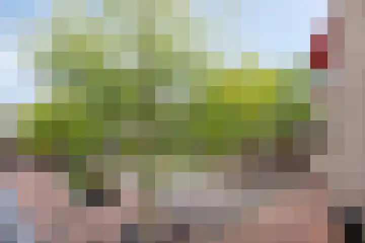 Molenstraat 3 Veghel thumbnail 18