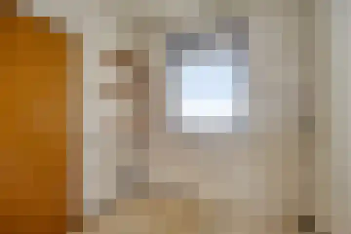 Molenstraat 3 Veghel thumbnail 25