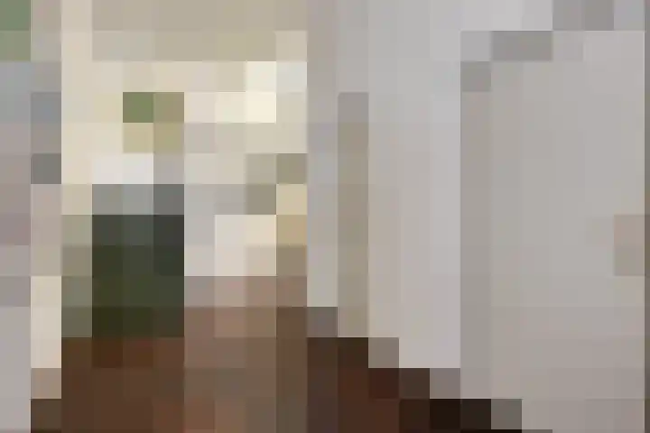 Molenstraat 3 Veghel thumbnail 27