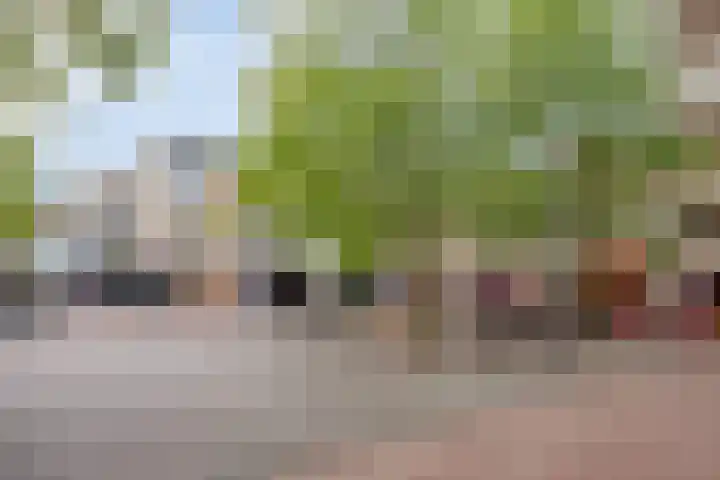 Molenstraat 3 Veghel thumbnail 28