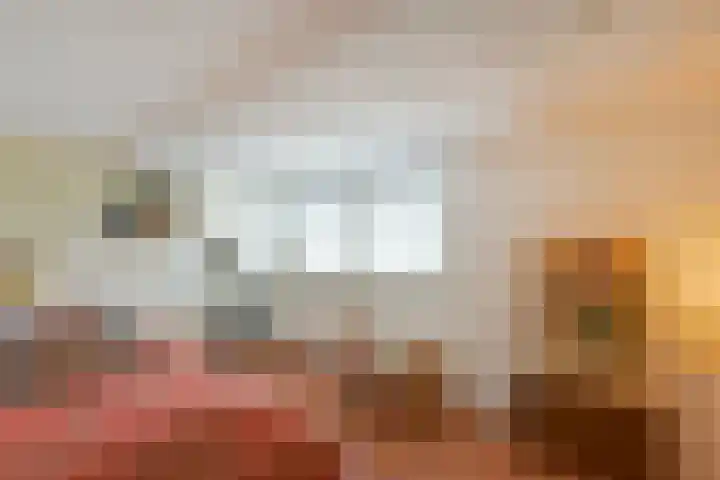 Molenstraat 3 Veghel thumbnail 32