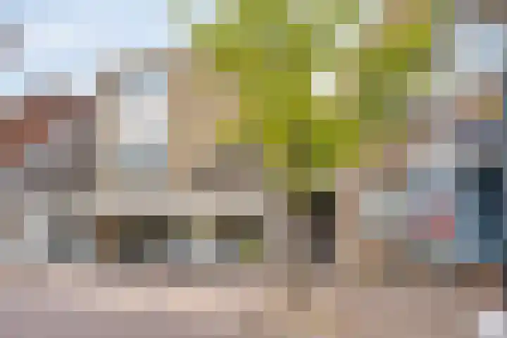 Molenstraat 3 Veghel thumbnail 4