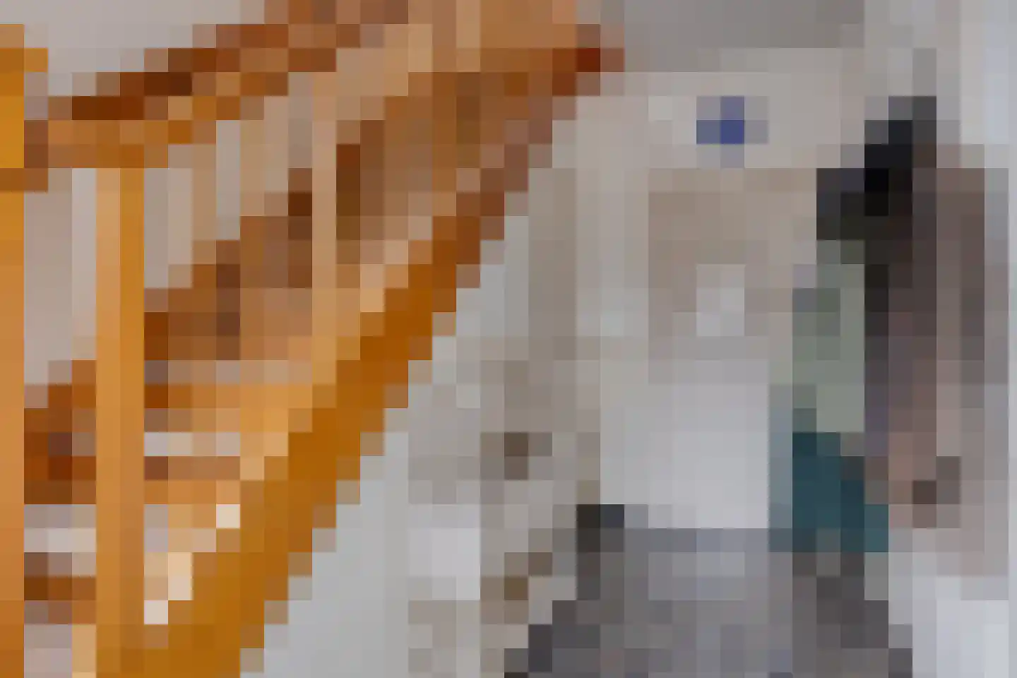 Molenstraat 3 Wanroij thumbnail 11