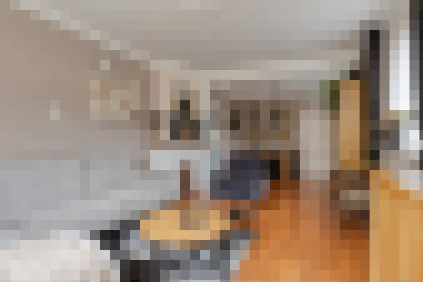 Molenstraat 3 Wanroij thumbnail 14