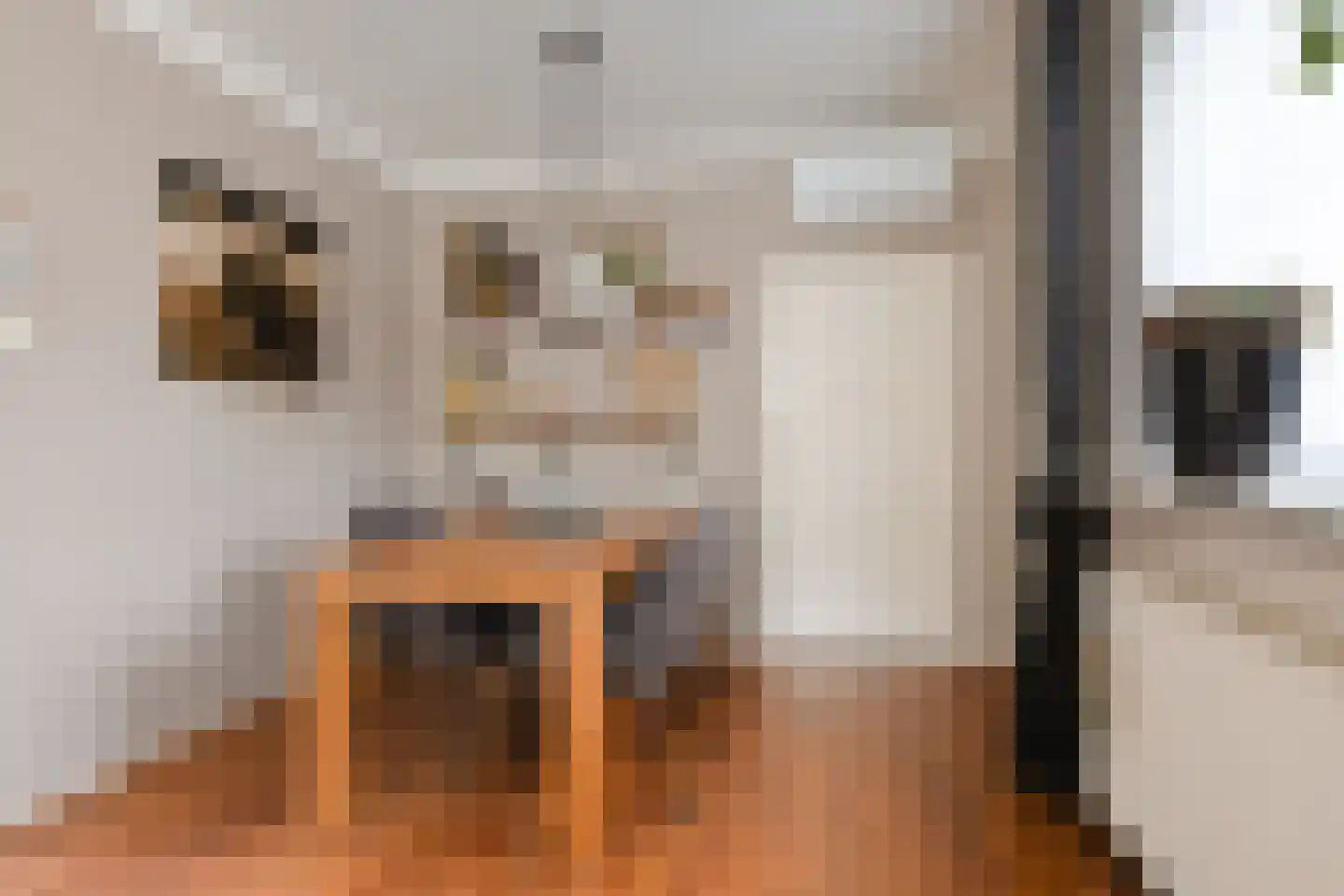 Molenstraat 3 Wanroij thumbnail 15