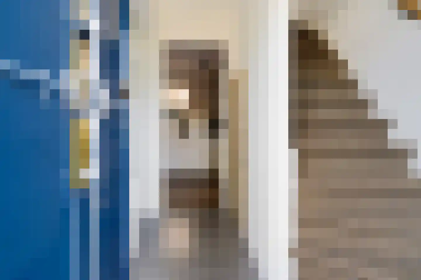 Molenstraat 30 A Valkenswaard thumbnail 16