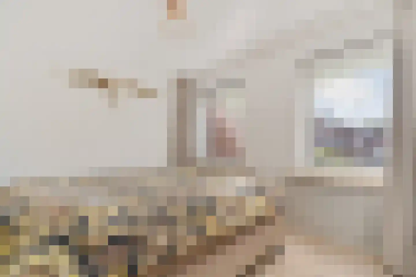 Molenstraat 30 A Valkenswaard thumbnail 23