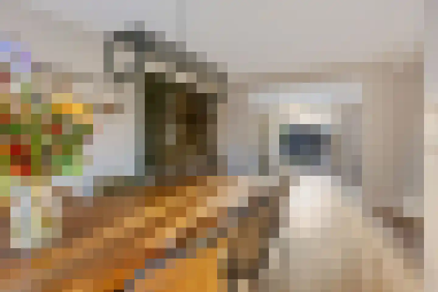 Molenstraat 30 A Valkenswaard thumbnail 4