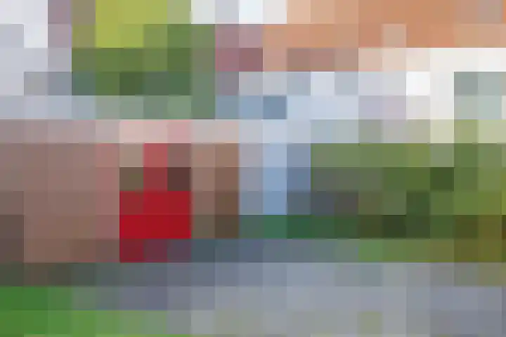 Molenstraat 30 Den Burg thumbnail 22