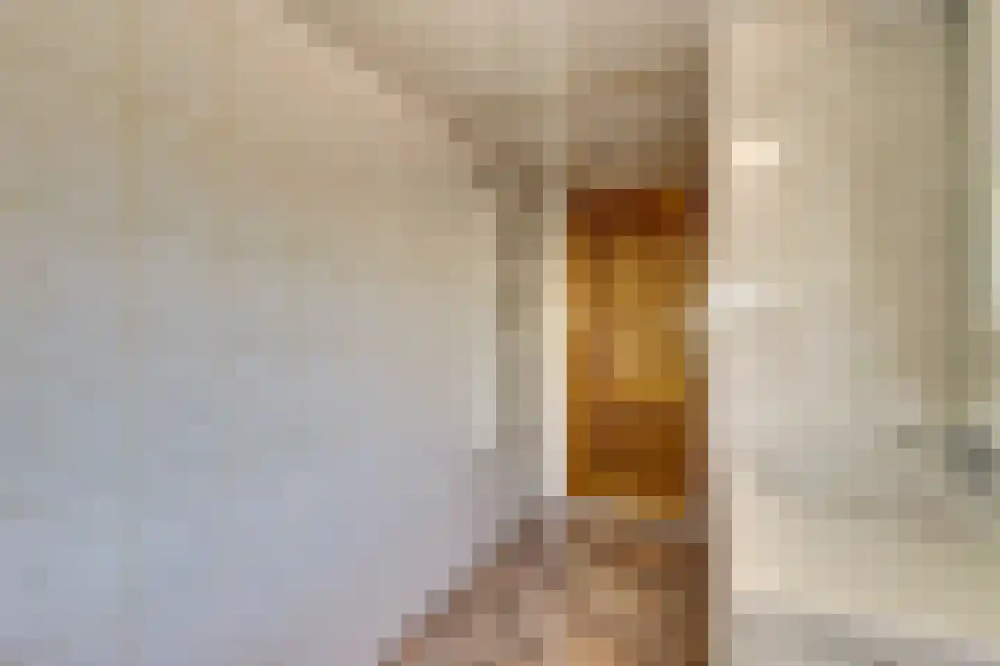 Molenstraat 30 Kerkwijk thumbnail 14
