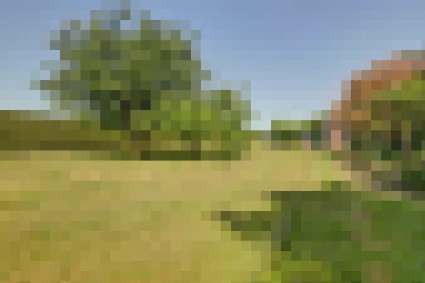 Molenstraat 30 Kerkwijk thumbnail 23
